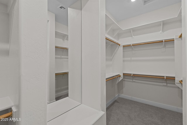 spacious closet featuring carpet flooring and visible vents