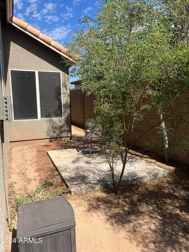 view of yard with a patio