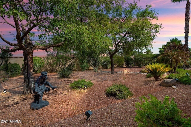 view of yard at dusk