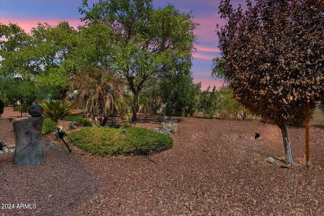 view of yard at dusk