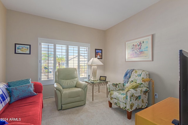 sitting room with carpet