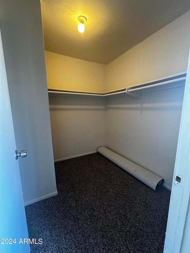 walk in closet featuring dark colored carpet