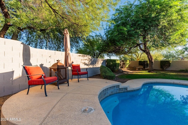 view of pool with a patio area