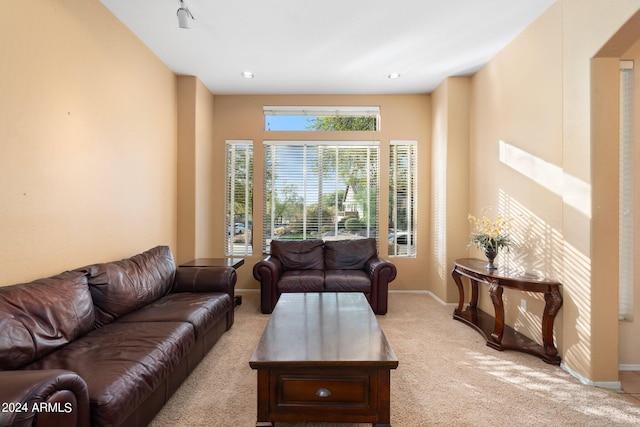 living room featuring baseboards and light colored carpet