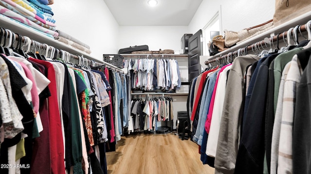 spacious closet with hardwood / wood-style flooring