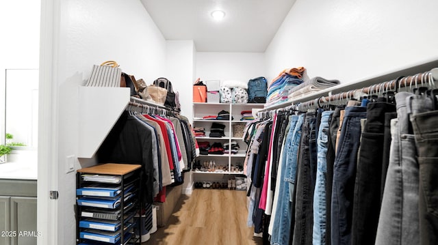 spacious closet with hardwood / wood-style flooring