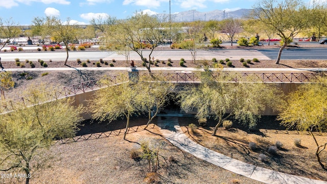 view of yard featuring a mountain view