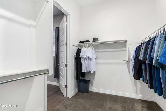 spacious closet featuring dark colored carpet