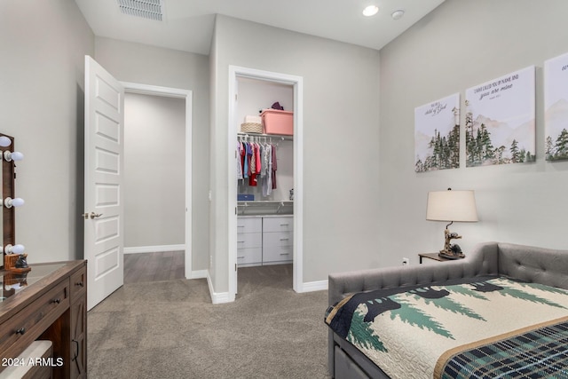 carpeted bedroom featuring a spacious closet and a closet