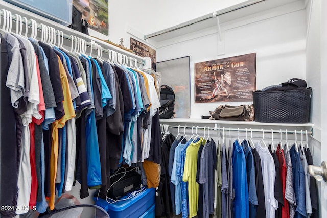 view of spacious closet