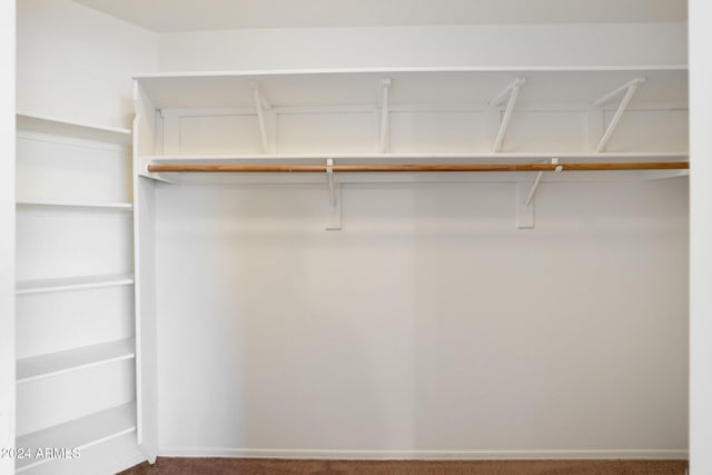 walk in closet featuring carpet flooring