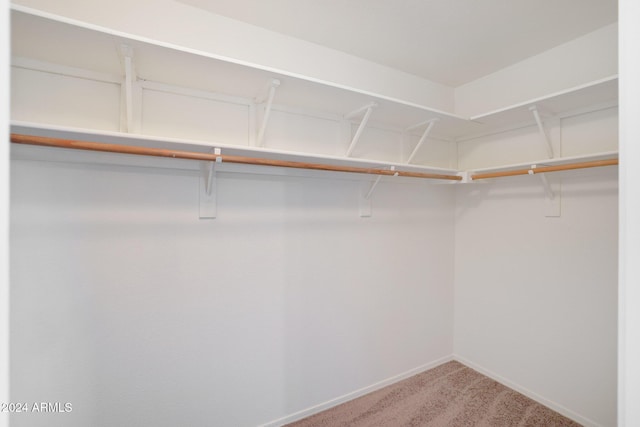 walk in closet with carpet flooring