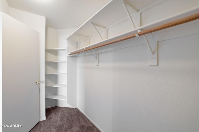 walk in closet with carpet