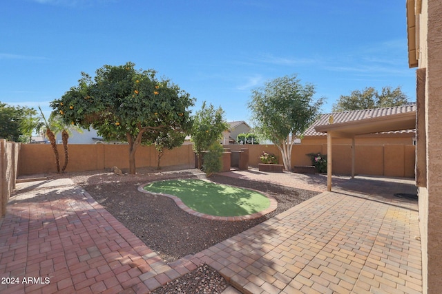 view of yard featuring a patio area