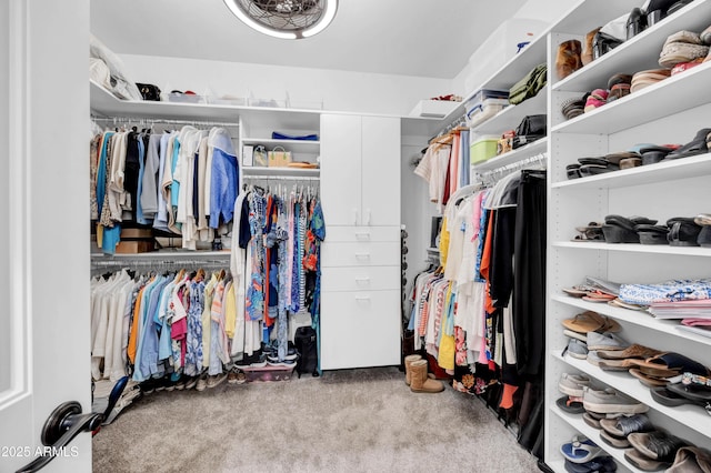 walk in closet with light carpet