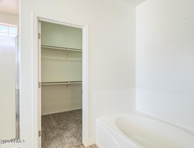 10722 W Quartz Dr, Casa Grande, AZ 85193 - bathroom featuring a bath, a spacious closet, and a shower with shower door