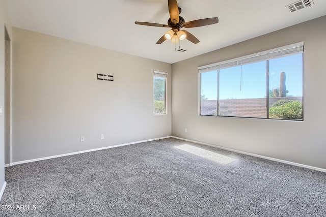 spare room with carpet flooring, a wealth of natural light, and ceiling fan