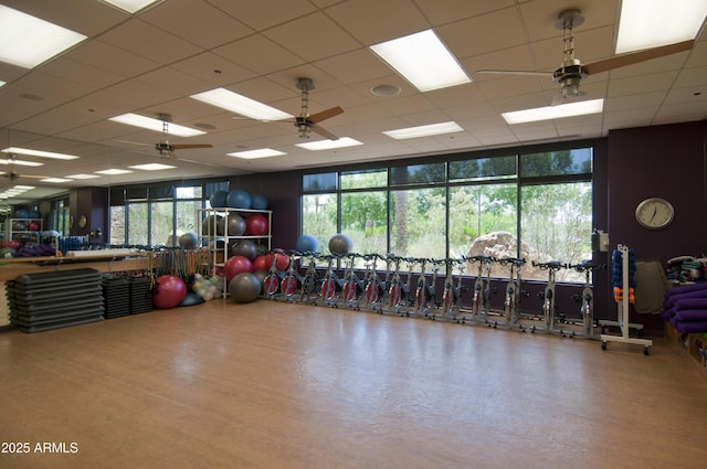 exercise room featuring a paneled ceiling, ceiling fan, and expansive windows