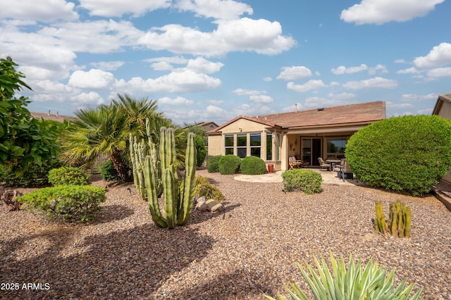 rear view of property featuring a patio area and stucco siding