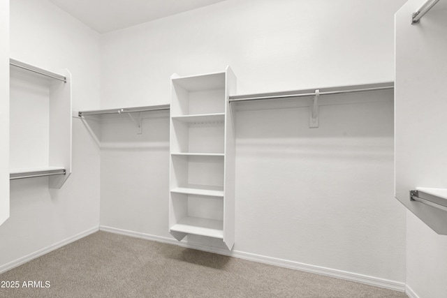 walk in closet with light carpet