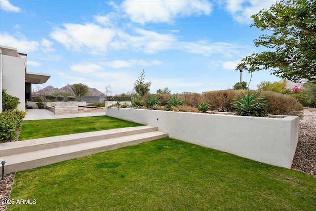 4451 E Joshua Tree Ln, Paradise Valley, AZ 85253 - view of grassy yard