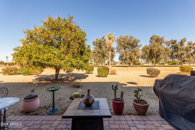 view of patio / terrace with a grill