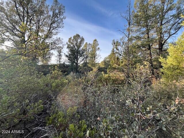 Listing photo 2 for 1900 E Highlands Way -, Unit Payson AZ 85541