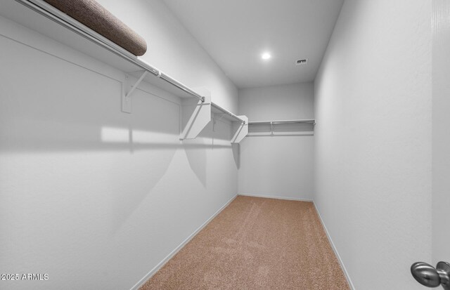 5053 S 252nd Ave, Buckeye, AZ 85326 - spacious closet featuring visible vents and carpet