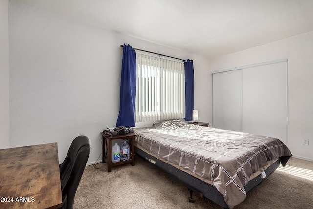 carpeted bedroom featuring a closet