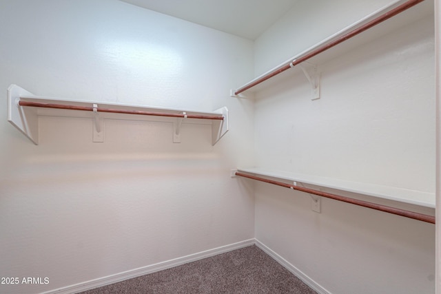 spacious closet with carpet floors