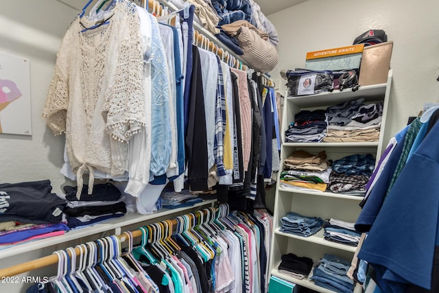 view of walk in closet