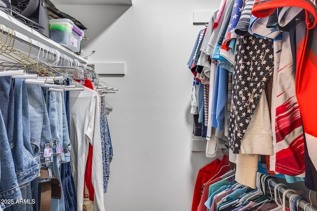 view of walk in closet