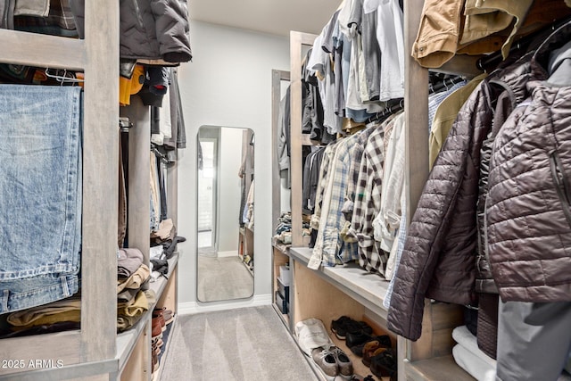 spacious closet featuring light carpet