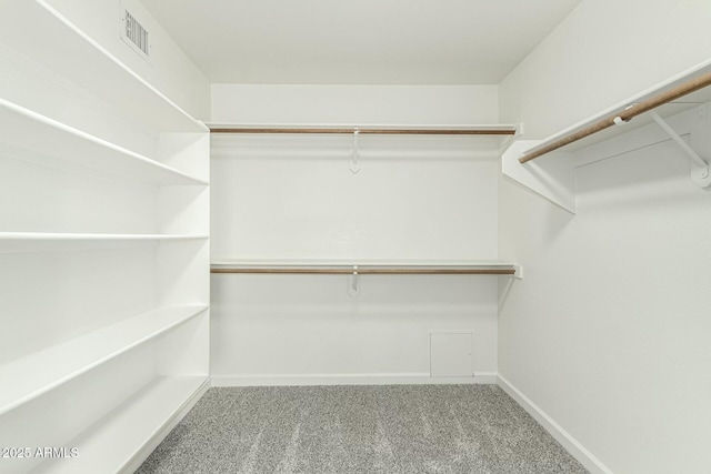 spacious closet featuring carpet