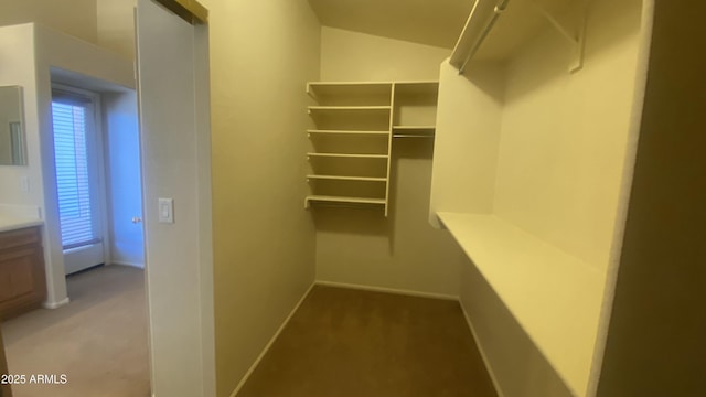 5374 N Ormondo Way, Litchfield Park, AZ 85340 - spacious closet with light colored carpet