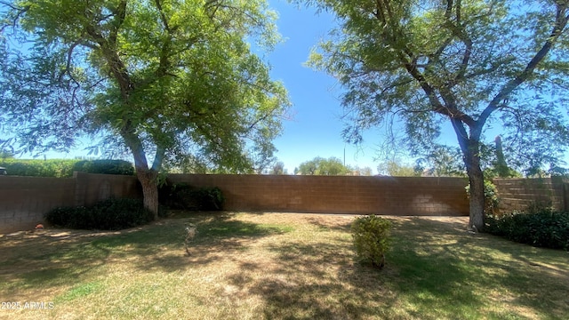 5374 N Ormondo Way, Litchfield Park, AZ 85340 - view of fenced backyard