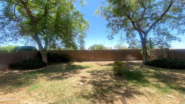 5374 N Ormondo Way, Litchfield Park, AZ 85340 - view of fenced backyard