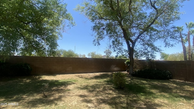 5374 N Ormondo Way, Litchfield Park, AZ 85340 - view of fenced backyard