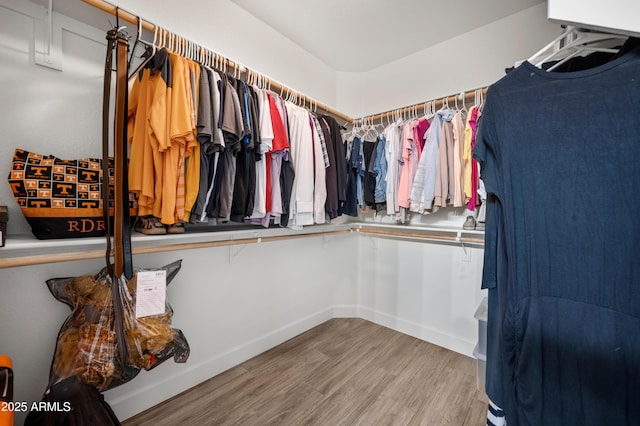 3773 E Stampede Dr, Gilbert, AZ 85297 - spacious closet with wood finished floors