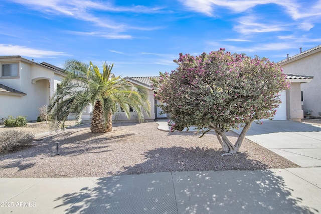 view of property hidden behind natural elements featuring driveway, an attached garage, and stucco siding