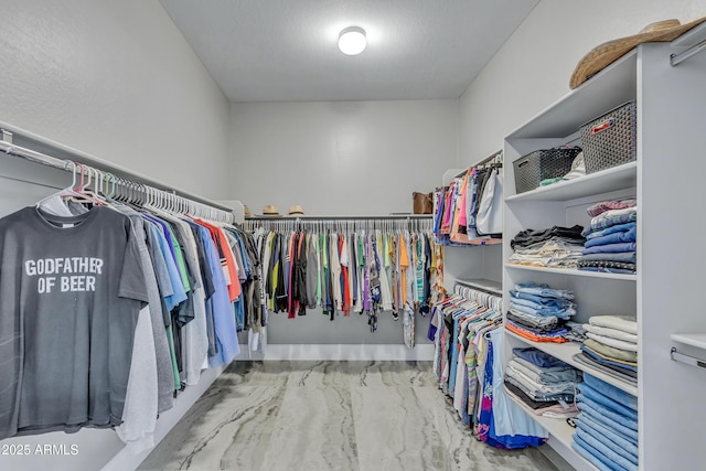 view of spacious closet