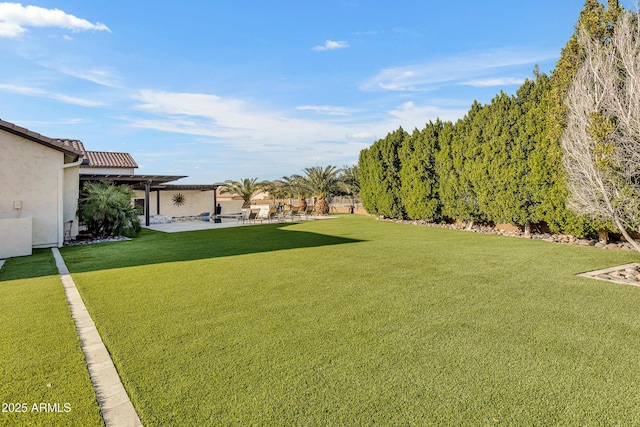 view of yard featuring a patio area