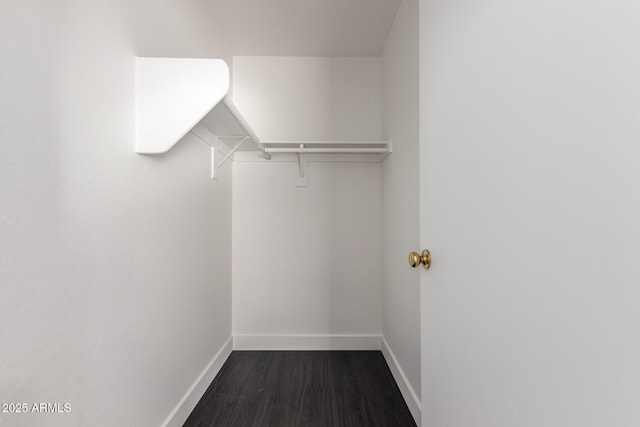 walk in closet with dark wood-type flooring