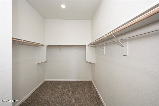 walk in closet with carpet