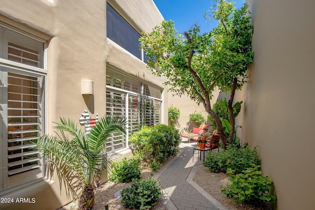 entrance to property with a patio and stucco siding