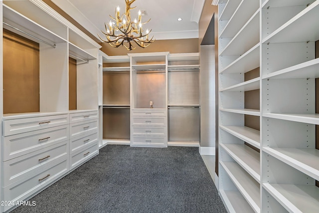 spacious closet with an inviting chandelier and dark colored carpet