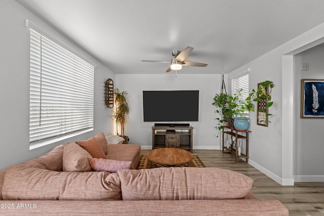 21647 W Laura St, Wittmann, AZ 85361 - living room with wood finished floors and ceiling fan