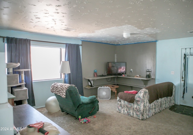 living room with carpet floors