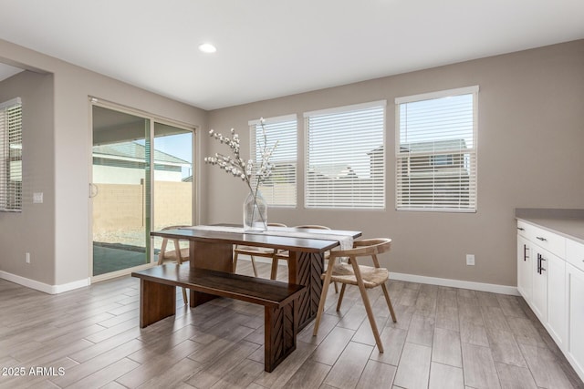 dining room with light hardwood / wood-style flooring and plenty of natural light