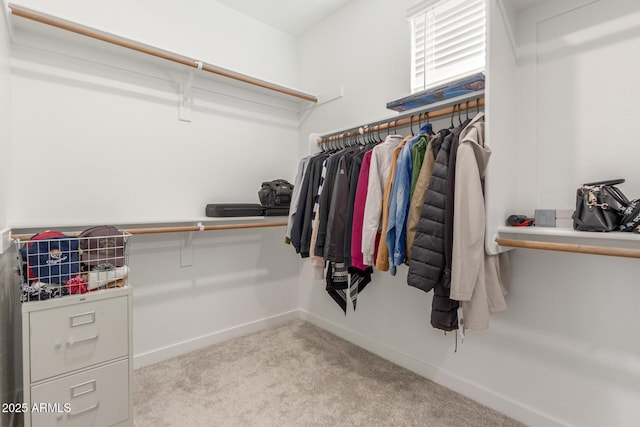 walk in closet with light colored carpet